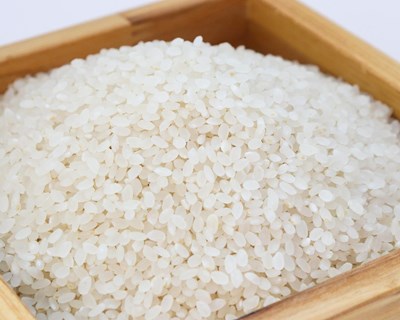 Itália, Portugal, França juntos para promover o arroz Japonica europeu