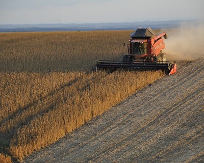 Legislação ambiental pressiona preço dos alimentos a partir de 2030