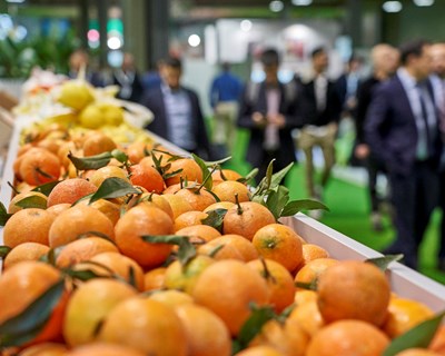 Lista de expositores da Fruit Attraction 2022 já está disponível