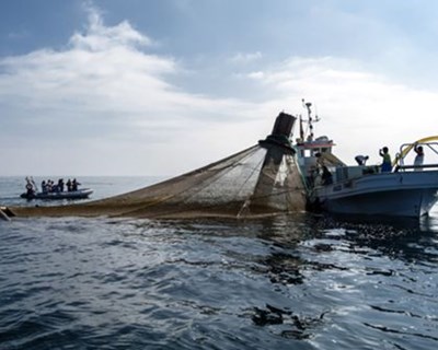 Madeira: governo espera investimentos de 100 milhões de € no Setor das Pescas