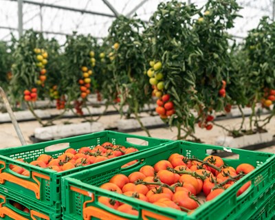 Mercadona aumenta em 49% o volume de compras a fornecedores nacionais em 2023 alcançando os 1.178 milhões de euros