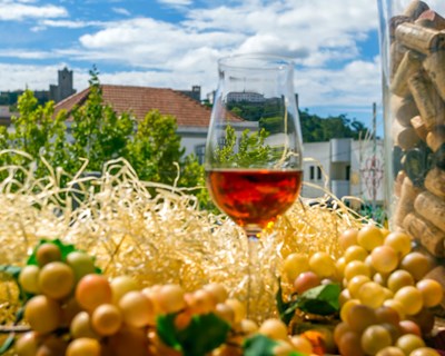 Moscatel de Setúbal e Adega de Palmela Moscatel premiados em Itália