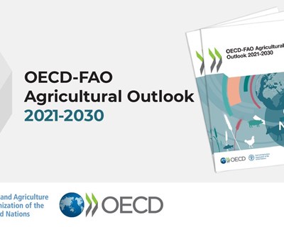 OCDE-FAO Agricultural Outlook 2021-2030 disponível para leitura