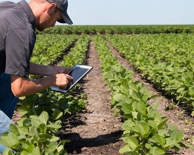 Oportunidades de financiamento para as PME do setor agroalimentar