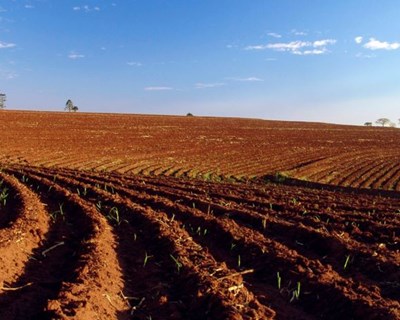 PAC deve alavancar Agroalimentar