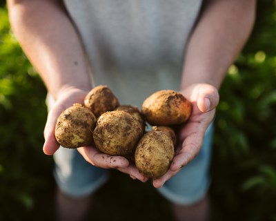 PepsiCO quer expandir práticas de agricultura regenerativa para 3 milhões de hectares até 2030