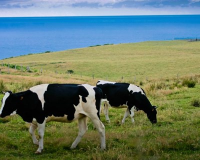 Primeira exploração flutuante do mundo na Holanda