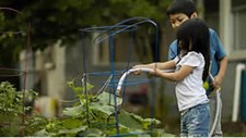 Projeto "Escolas Comestíveis” premiado pela Comissão Europeia