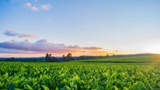 Projeto sensibiliza alunos para a produção de alimentos seguros