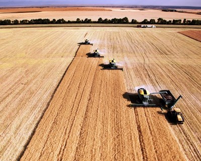 PSD defende criação de entidade reguladora para setor agroalimentar