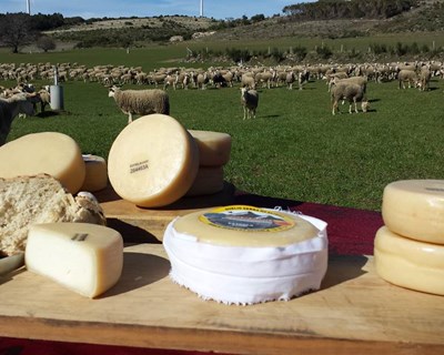 Queijo da Serra da Estrela DOP com quebras de 60%