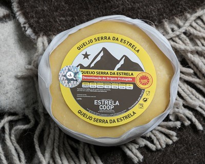 Queijo Serra da Estrela nos melhores do mundo