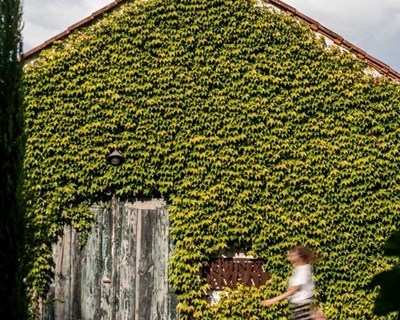 Quinta do Ameal integra rota de vinhos verdes