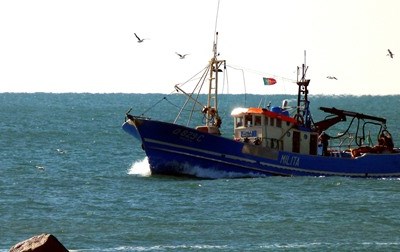 Quota do Bacalhau para 2022 aumenta 168%