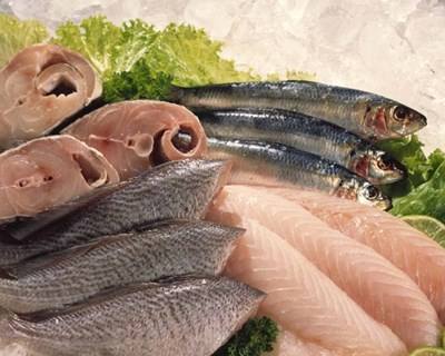 República da Coreia é palco de feira internacional de pescado e marisco