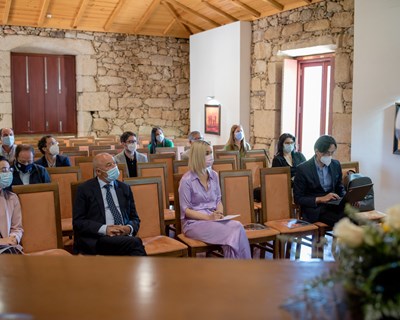 Sabugueiro ganha terreno na Euroregião Galicia - Norte de Portugal