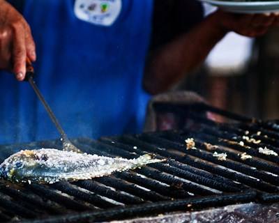 So Food So Good - Portugal Taste chega à Exponor em outubro