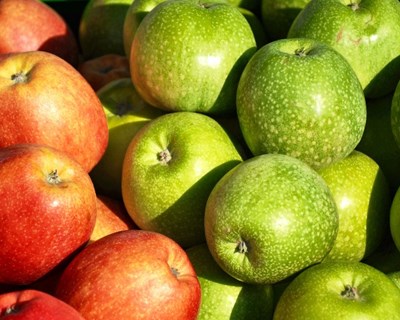 Spray português para substituir plástico nos alimentos premiado