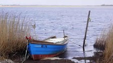 Governo atribui subsídio de minimis ao setor da pesca