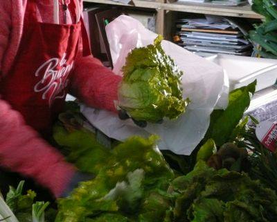 Sustentabilidade é o futuro do Consumo Alimentar