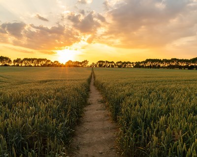 Tetra Pak e o compromisso de agir em prol da natureza