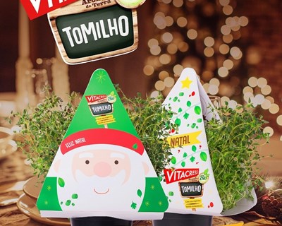 Tomilho Vitacress é a planta aromática deste Natal