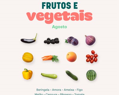 Too Good to Go partilha dicas e receitas para evitar o desperdício de frutas e legumes no verão