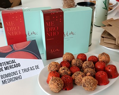 Trufas e bombons de medronho prometem conquistar o paladar dos amantes de chocolate e de medronho