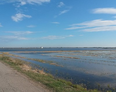 UE: consórcio para produzir Biogás e Biofertilizantes a partir da palha de arroz