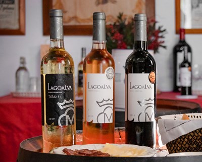 Vinhos da Quinta da Lagoalva passam a ser distribuídos pela José Maria da Fonseca Distribuição