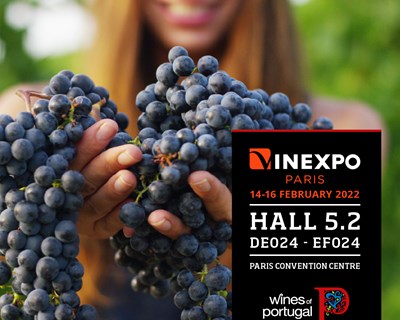 ViniPortugal prepara-se para a primeira feira do ano: VINEXPO Paris