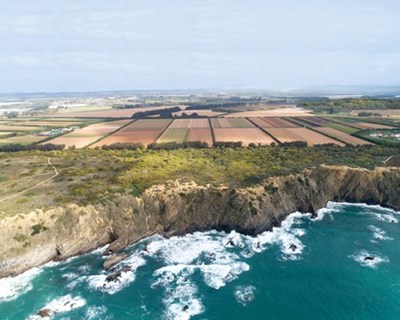 Vitacress celebra 20º aniversário reforçando o compromisso de sustentabilidade com o programa Second Nature