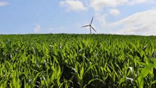 Webinar sobre transição agroenergética a 16 de julho