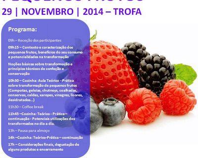 Workshop: Transformação de Pequenos Frutos