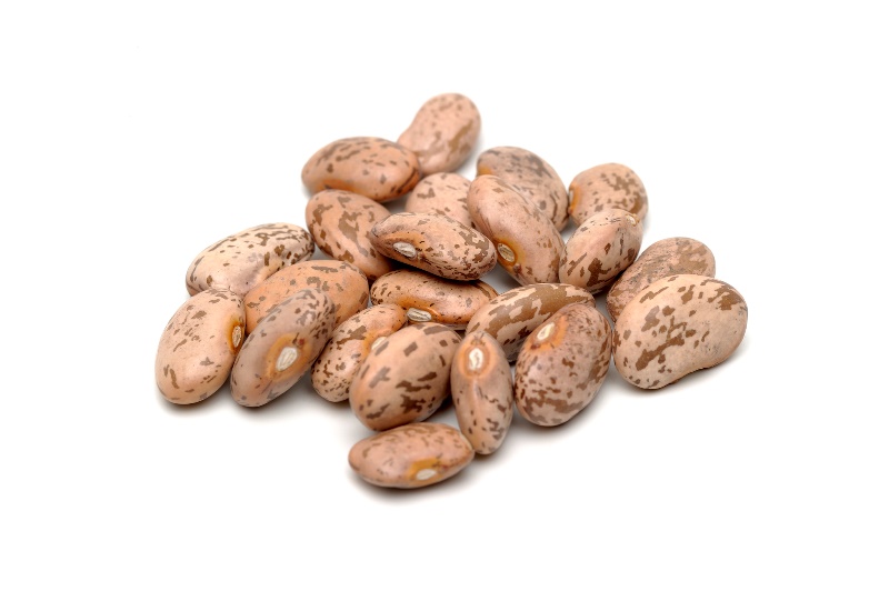 alimentos