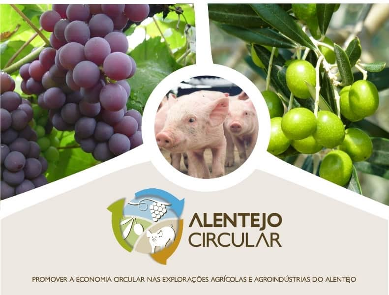 alentejo