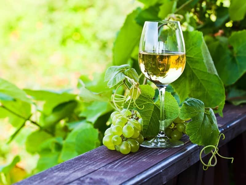 vinho verde