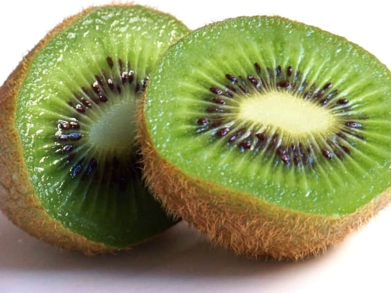 kiwi 