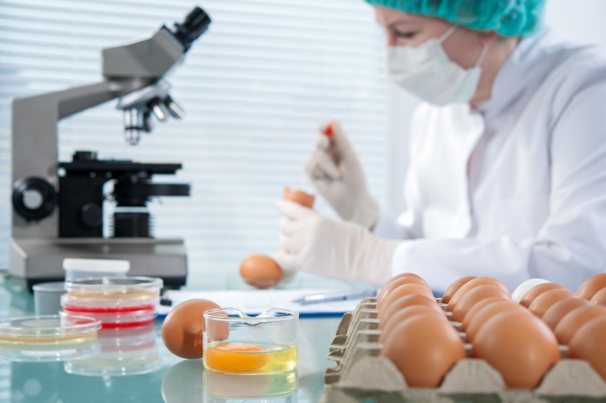 Investigação agroalimentar