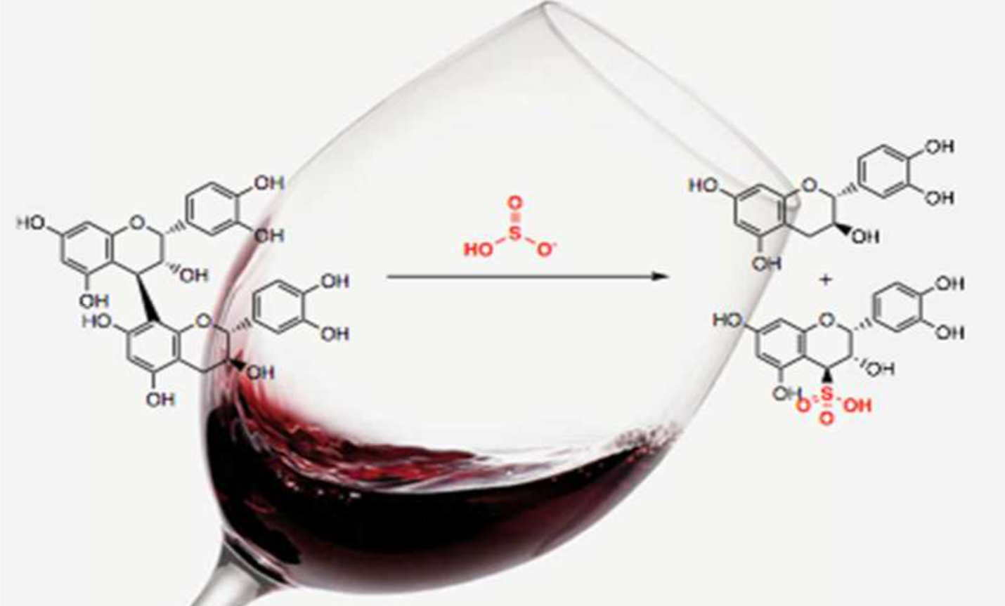 Impressão digital química do vinho