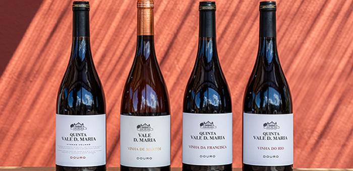 Vinhos D. Maria
